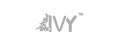 IVY 頸前路釘板系統(tǒng)