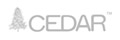 CEDAR 脊柱后路內固定系統(tǒng)