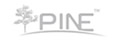 PINE 脊柱內(nèi)固定系統(tǒng)