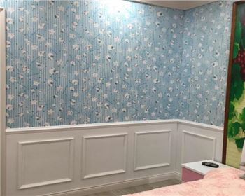 壁虎快板適用于哪些地方？